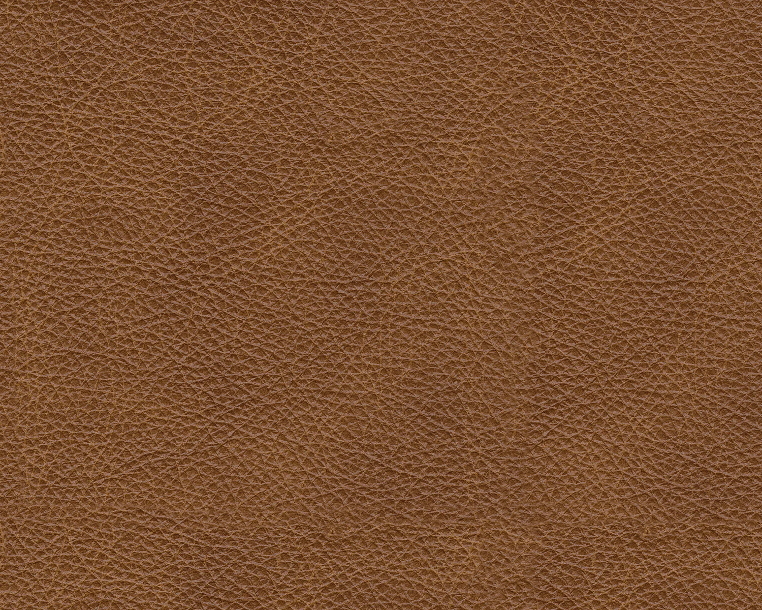 Emilia 5-Piece Sectional - Image 3